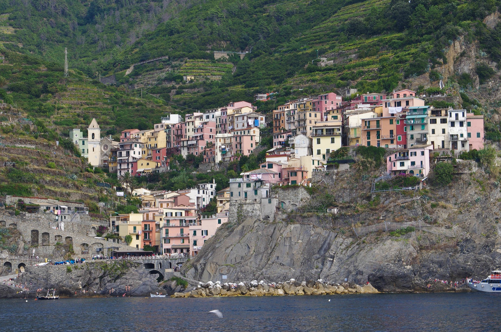 Manarola, Cinque Terre, Italy by vickisfotos