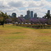 My Brisbane 57 - New Farm Park by terryliv