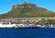 13th Oct 2014 - Hout Bay