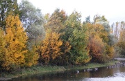 19th Oct 2014 - Autumn Beside the Lake