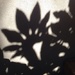 Shadow art by congaree