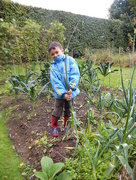 13th Oct 2014 - Jak and the Giant Leek....