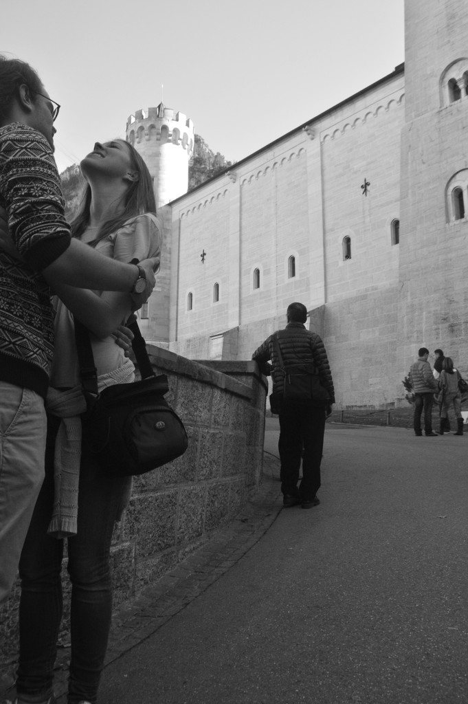 Lovebirds at the Neuschwanstein Castle by kareenking