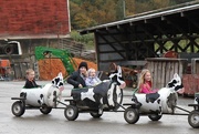 18th Oct 2014 - Riding the Cow Train