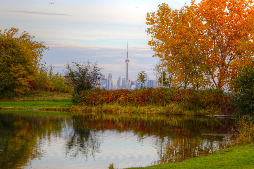 Toronto CN Tower in Autumn by pdulis