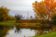 19th Oct 2014 - Toronto CN Tower in Autumn