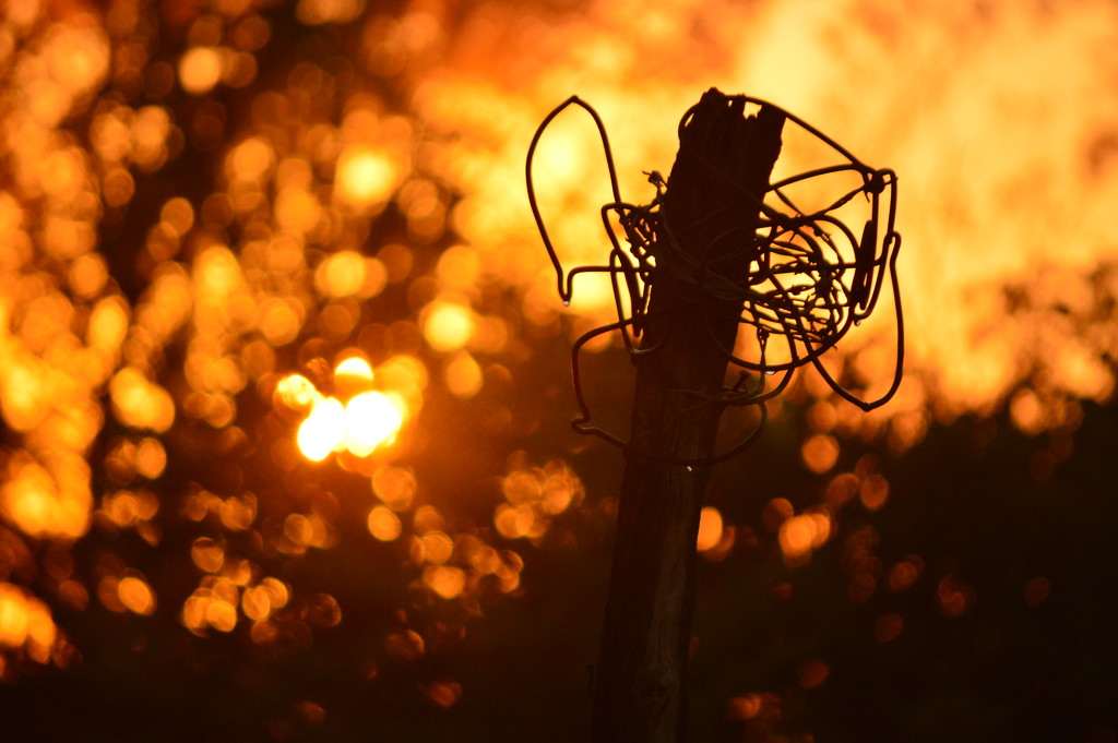 Bokeh Fire by kareenking