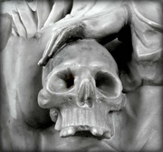 20th Oct 2014 - October words-Bones. Skull