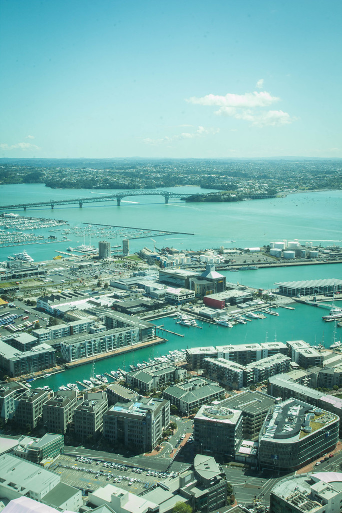 View over Auckland #164 by ricaa