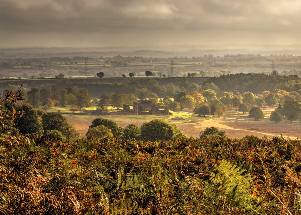 Leicestershire from Bradgate Park by shepherdmanswife