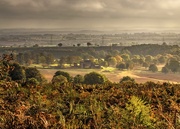 20th Oct 2014 - Leicestershire from Bradgate Park