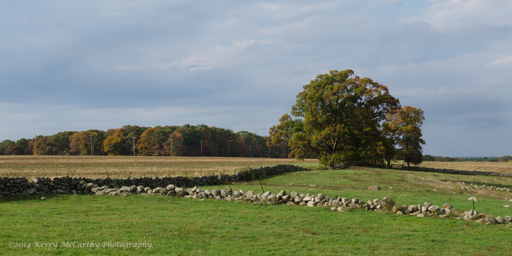 Farmland by mccarth1