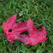 Two Red Leaves by selkie