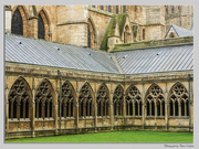 20th Oct 2014 - The Cloister
