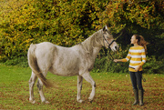 20th Oct 2014 - My pretty pony