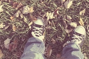 17th Oct 2014 - feet in leaves