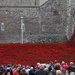Tower of London Poppies by seanoneill