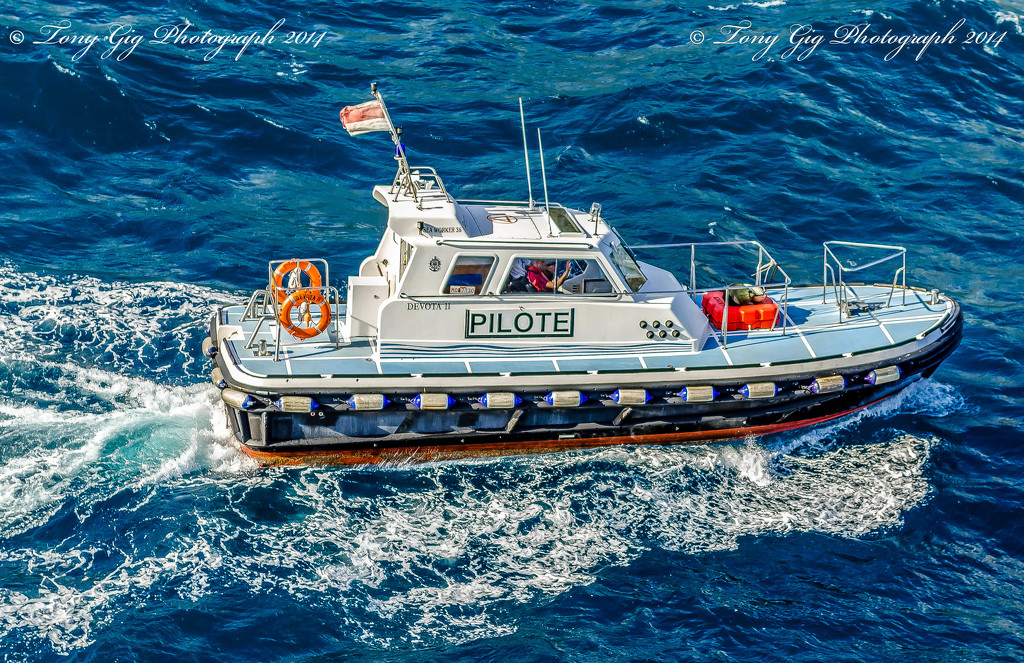 Pilot Boat by tonygig
