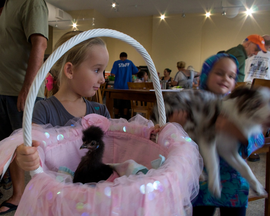 The Blessing of the Animals by eudora