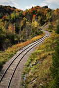21st Oct 2014 - Fall Train Tracks