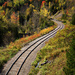Fall Train Tracks by pdulis