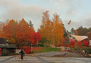 10th Oct 2014 - Aurinkomäki stage in KeravaIMG_0999