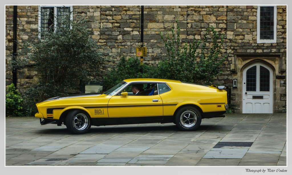 Mach1 Mustang by pcoulson