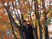 18th Oct 2014 - Climbing a Tree