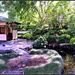 Campbelltown Japanese Garden by leestevo