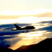 Silhouette skyplane by kiwinanna