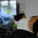 Watching tv on my lap by parisouailleurs
