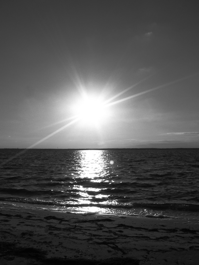 Sunset in Black & White by april16