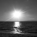 Sunset in Black & White by april16