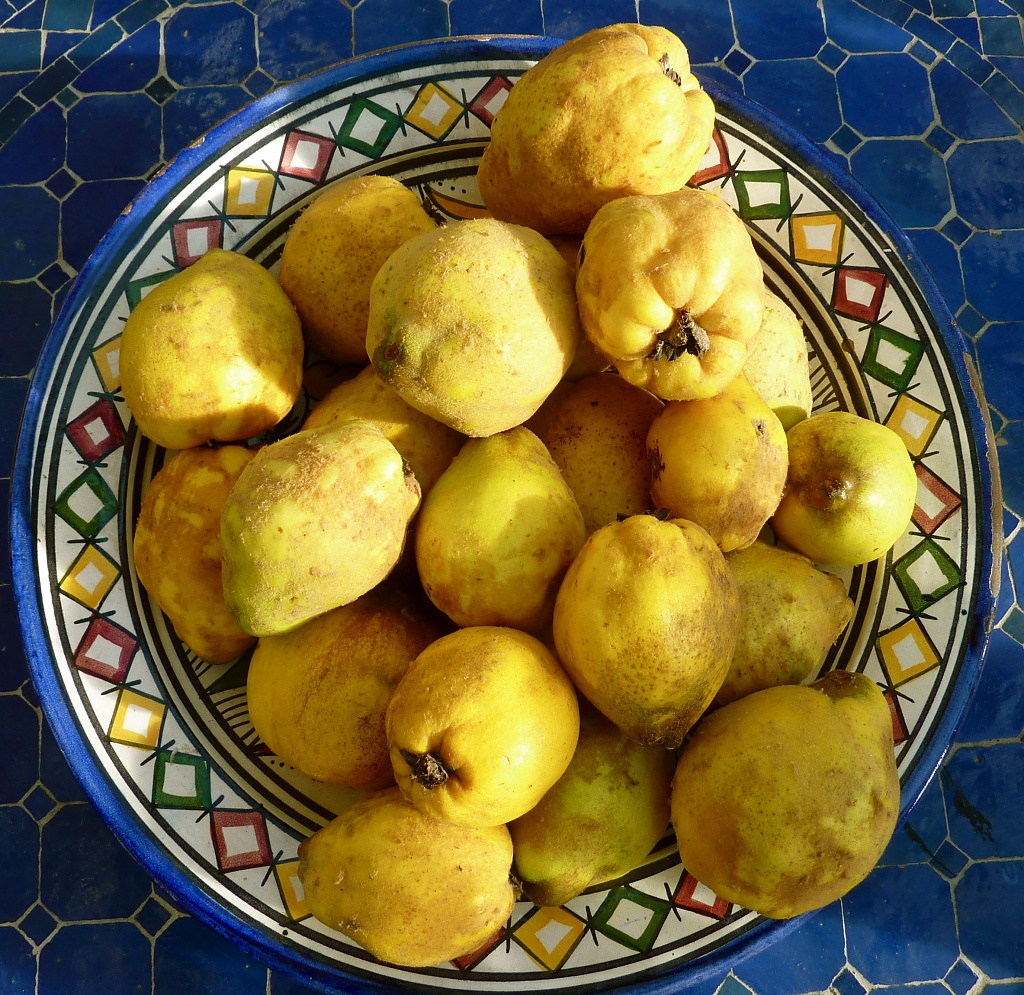 A Surfeit Of Quince by helenmoss