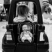 Giving Baby a Ride by tina_mac