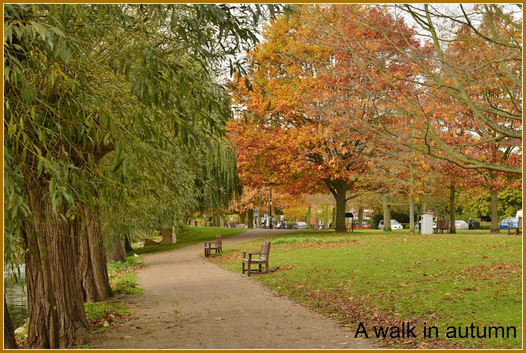 A walk in autumn by rosiekind