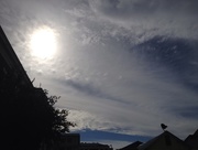 24th Oct 2014 - Skies over downtown Charleston, SC