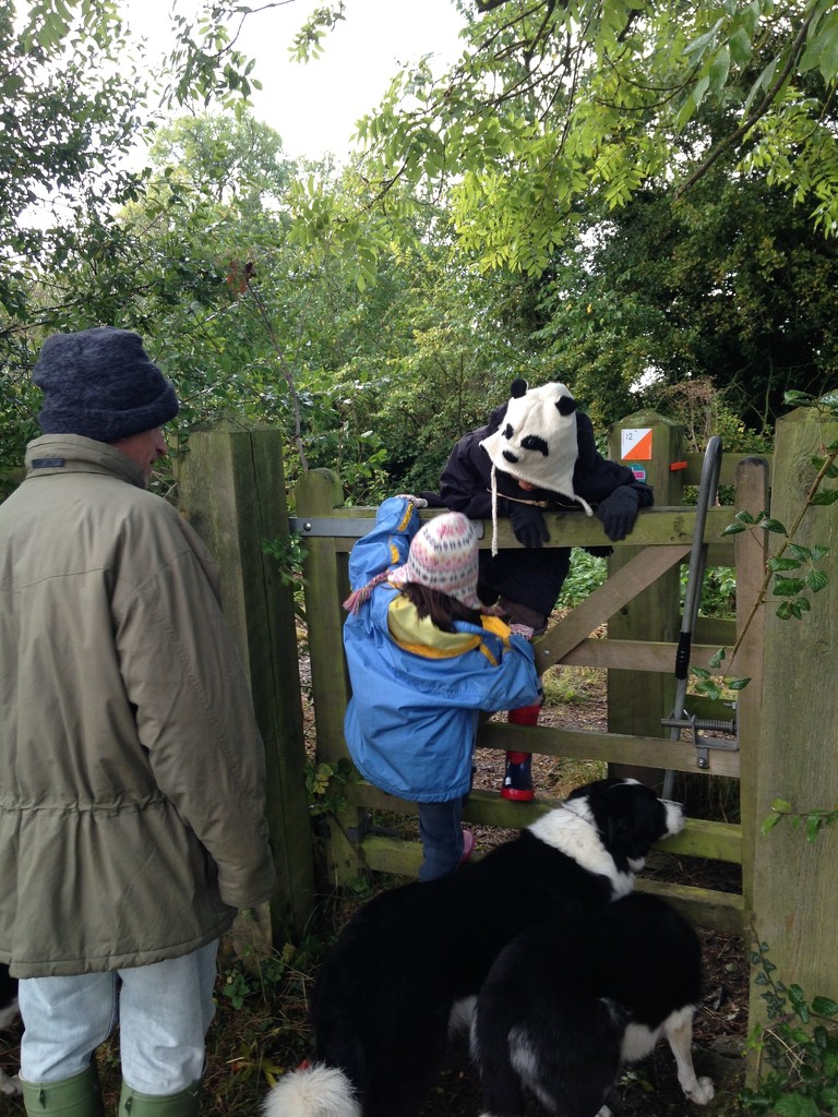 Panda Meets Kissing Gate by helenmoss