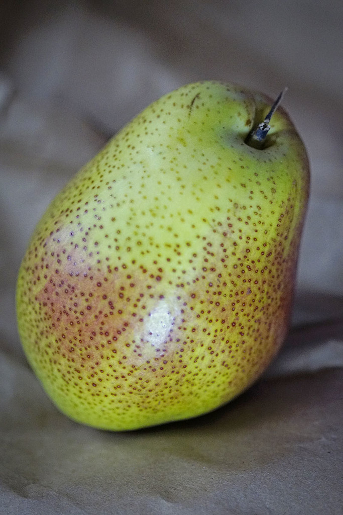 Real Pear by gardencat