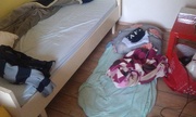 15th Oct 2014 - Homemade bed