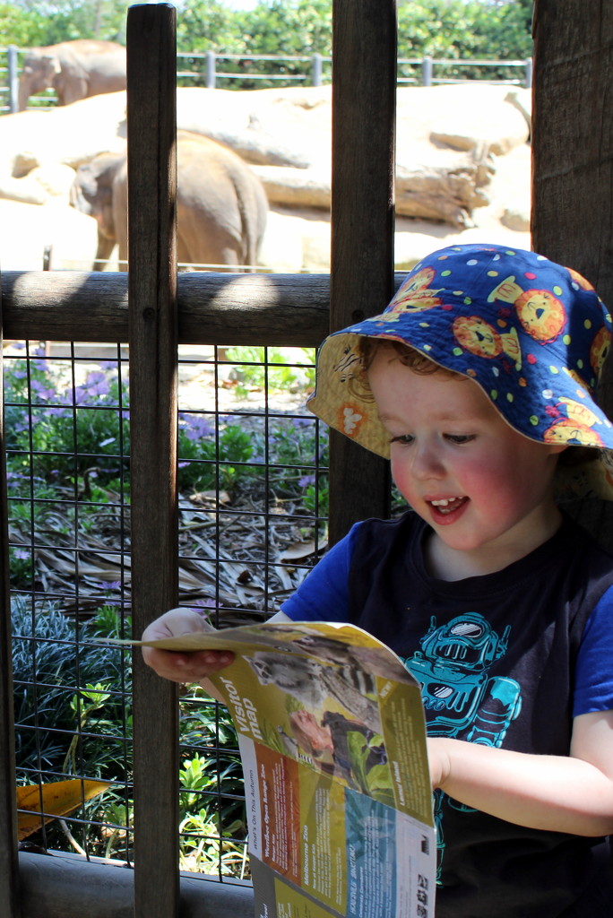 A - Z = Alex at the Zoo by gilbertwood