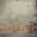 Ten little pumpkins jumping on a wire by overalvandaan