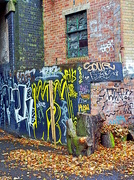 22nd Oct 2014 - Autumn Graffiti