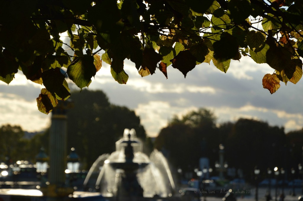 Place de la Concorde under the trees  by parisouailleurs