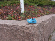 17th Oct 2014 - Blue shoe - Sininen kenkä IMG_1147