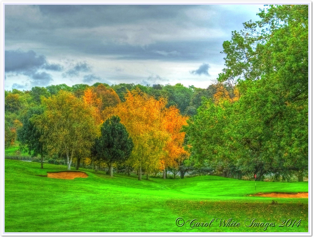 Autumn On The Golf Course by carolmw