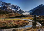 25th Oct 2014 - Columbia Icefield and Athabasca Mountain