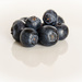 Blueberries! by salza
