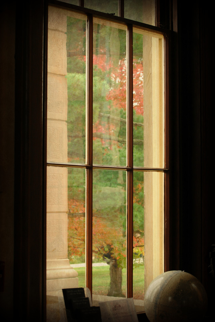 Fall Outside The Observatory Window by alophoto