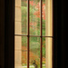 Fall Outside The Observatory Window by alophoto